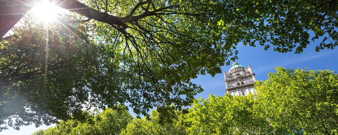 The Queen's Tower visible through green trees and rays of sunshine